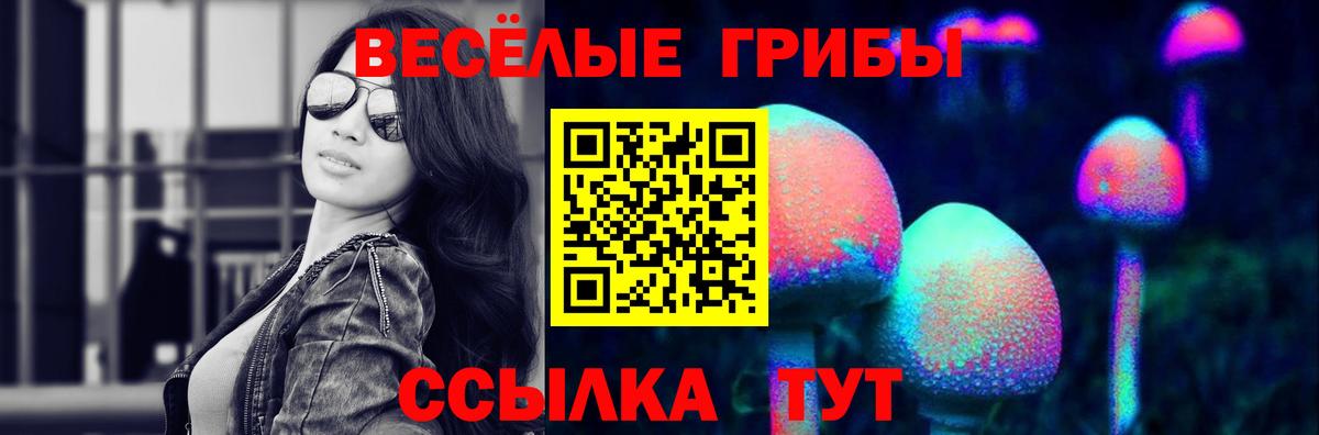 Галлюциногенные грибы прущие грибы Азов